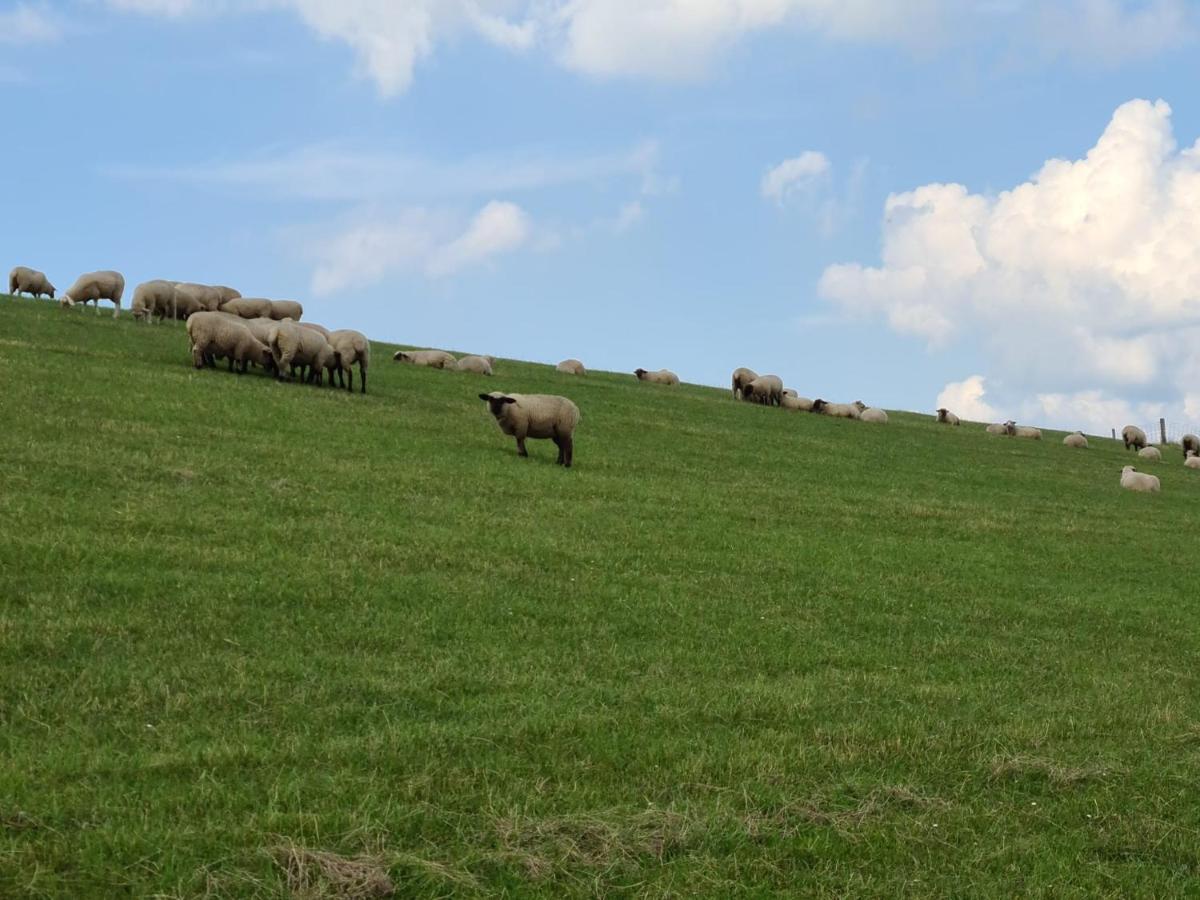 SchweiburgHaus Dornroeschen别墅 外观 照片